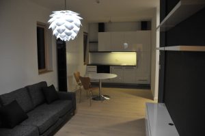 Apartman – Kopaonik